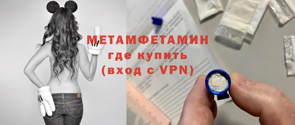 сатива Сатка